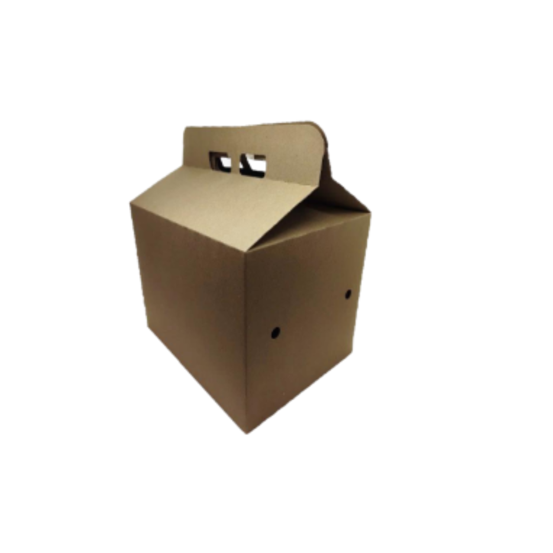 Caja delivery Family box